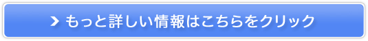 T/SARAMENyLKEeELɁz̔TCg